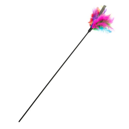 Cat feather wand toy - feather, –