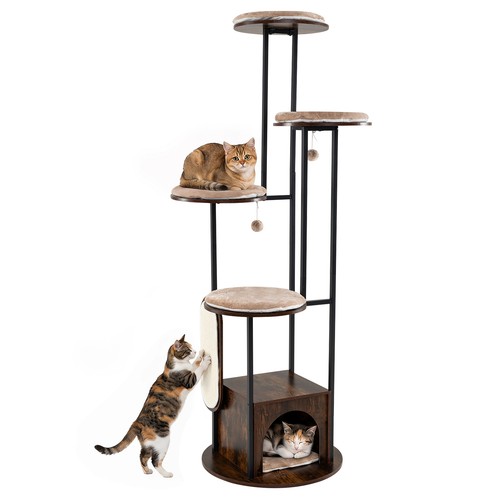 183 tall multi level - cm, cat