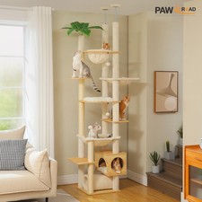 PAWZ Road Floor to Ceiling Cat