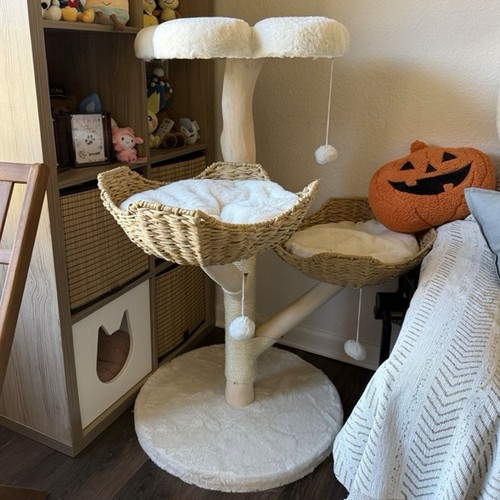 Real wood modern cat tree - modern,