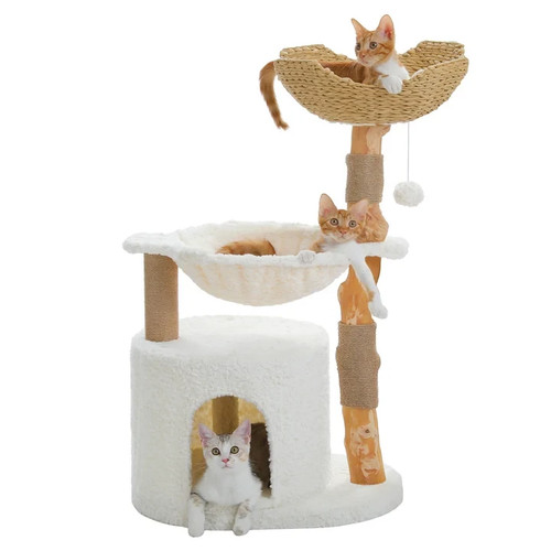 Pawz road modern wooden - pawz,