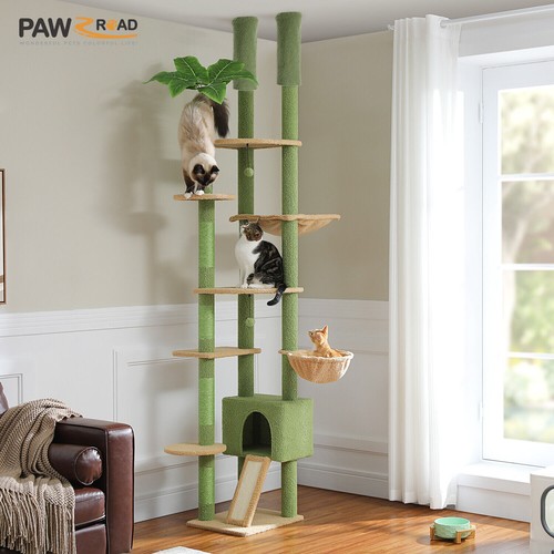 Pawz road floor ceiling - floor, to