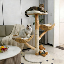 Modern Tree Tower Scratching