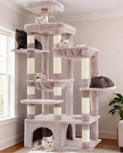 180cm tall cat - tall, tree