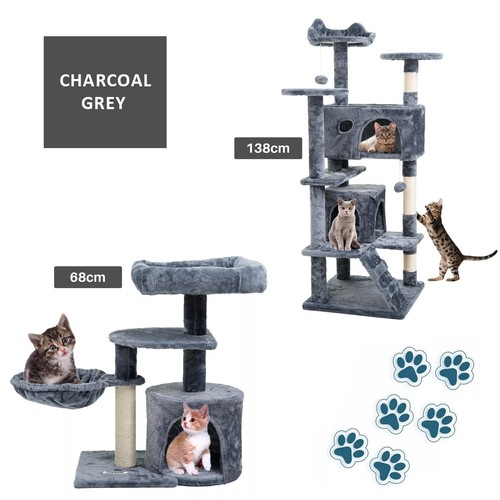 Cat tree activity centre - cat,