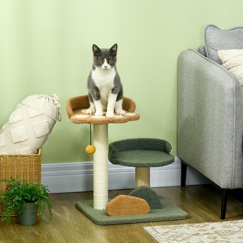 Small cat tree - tree, indoor