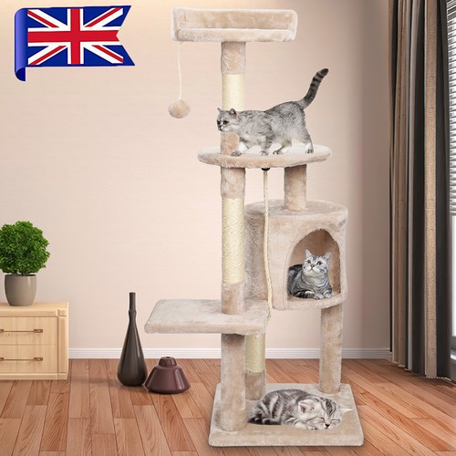 Large multilevel cat - large,