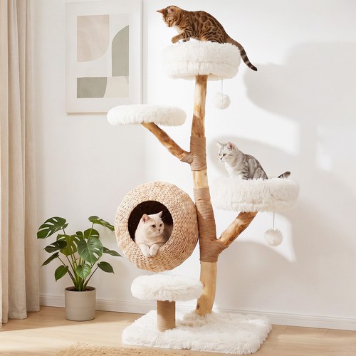 Multi level wooden - multi-level,