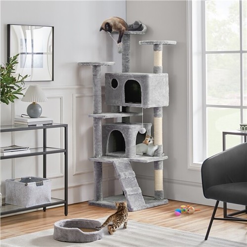 178cm tall cat - cat, multilevel