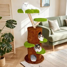 BingoPaw Heavy Duty Wood Cat