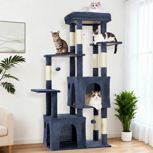 Cat tree multi level - cat,