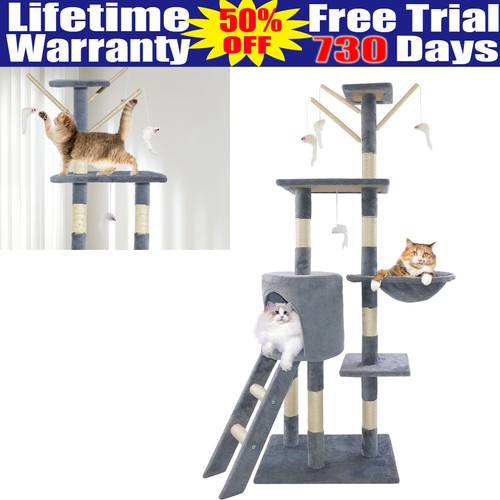 Large cat tree activity - tree, centre