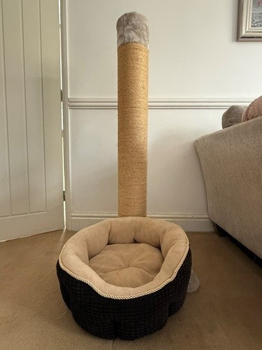 Cat scratching post - scratching,