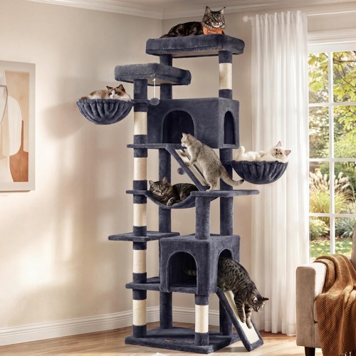Tall cat tree - tall, for