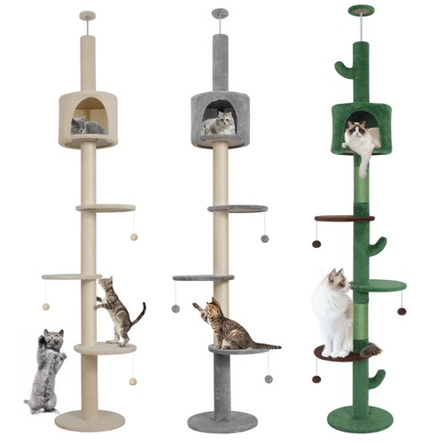 224 256cm floor ceiling cat - floor, to