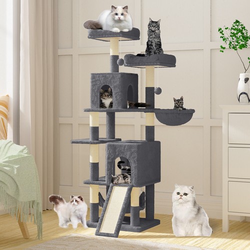 Large cat tree activity - 🔥large,