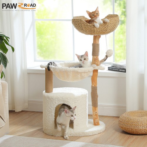 Pawz road modern cat - cat, tree