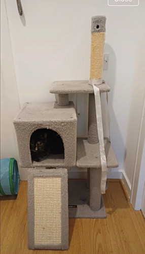 Multi level cat condo - cat, tree
