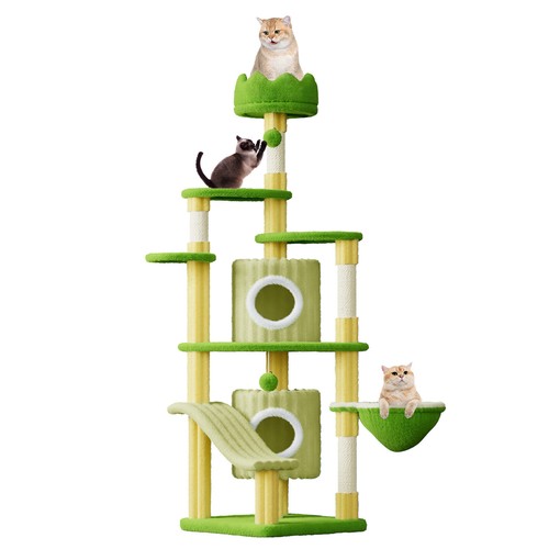 162cm large cat - large, tree
