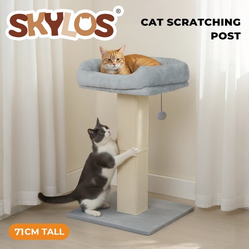 Skylos cat tree - tree, activity