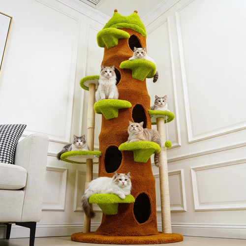 187cm tall cat tree - cat, for