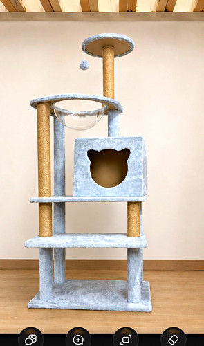 Grey beige cat - tree, activity