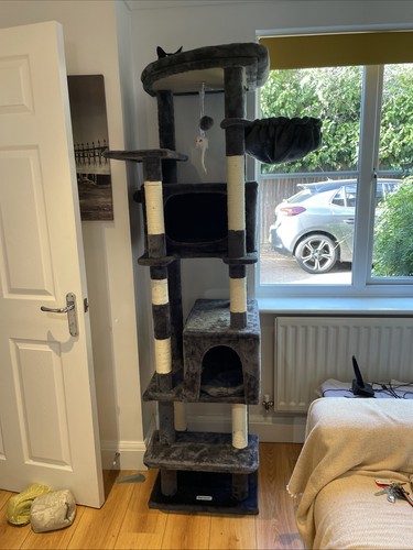 Heavy duty cat - duty,