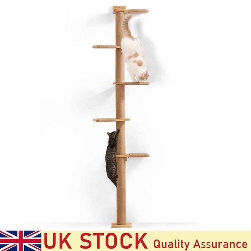 Tall cat tree - floor, to