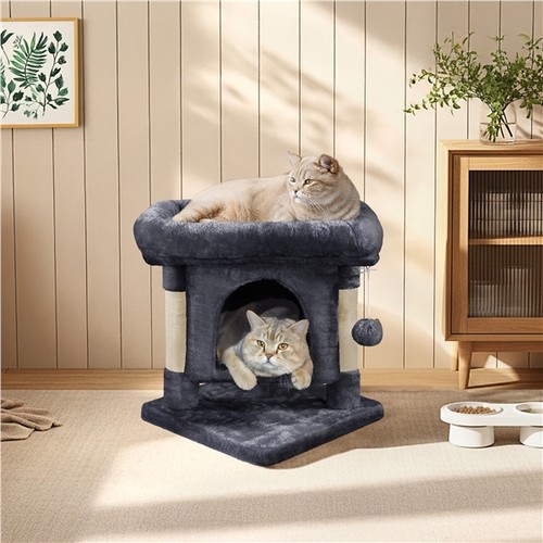 Layer cat tree with - cat,