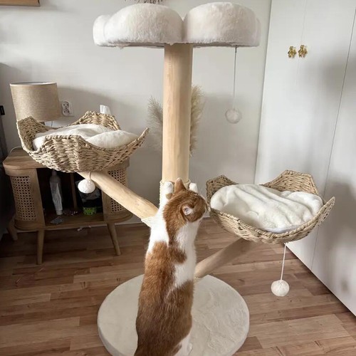 Extra large cat trees tall - extra,
