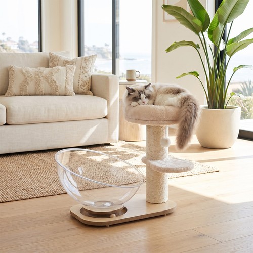 Cat tree tower with clear - cat,