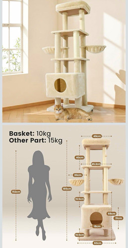 165cm cat scratching - tree, with