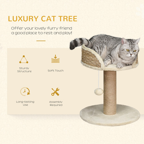 Cat tree tower activity - cat,