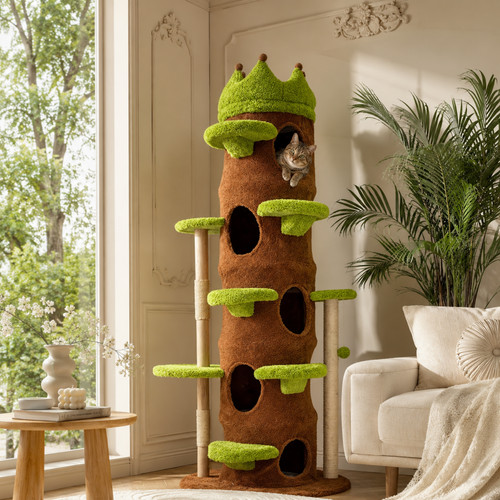 Heavy duty cute cat - cute,