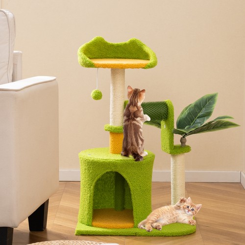 Green palm cat tree - palm,