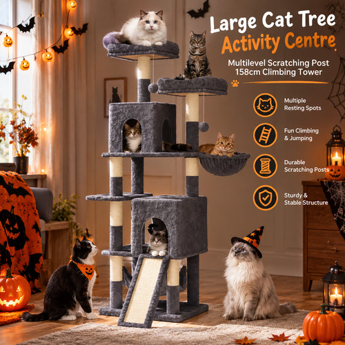 Large cat tree activity - 🔥large,
