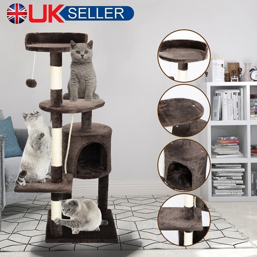 Multilevel cat tree scratching - cat,