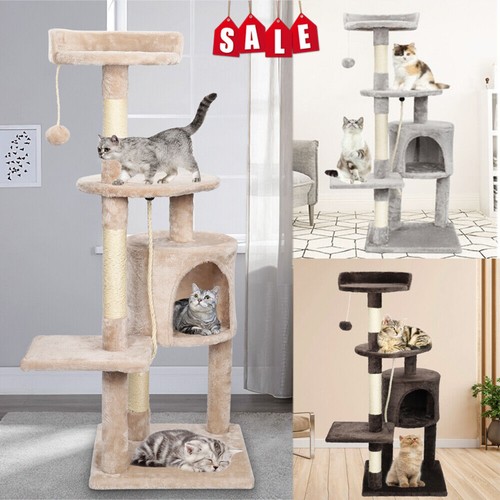 Large cat tree activity - cat,