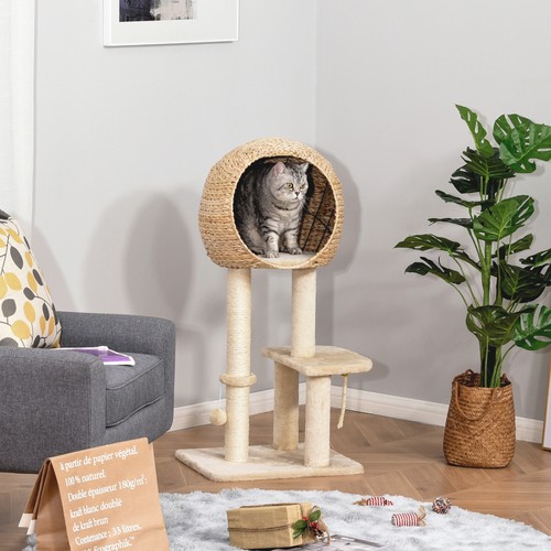 Cat tree kitten climbing tower - kitten,
