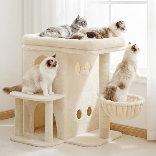 65cm cat tree - cat, cats