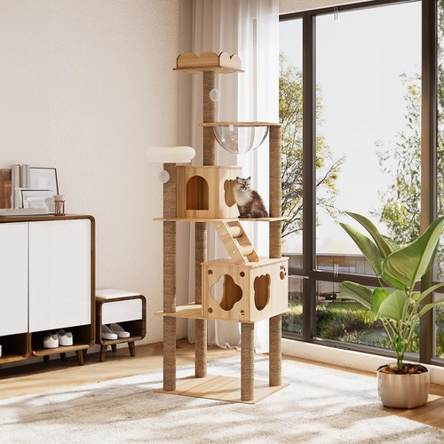 Cat tree tower - cat,