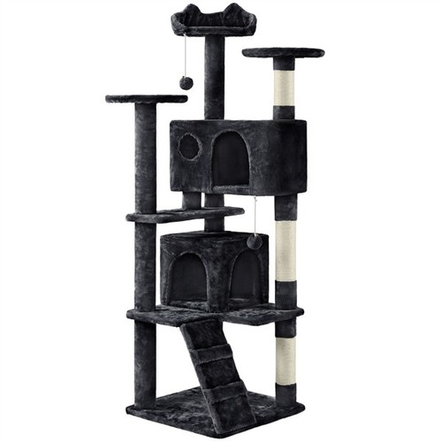 158cm tall cat - tall, tower
