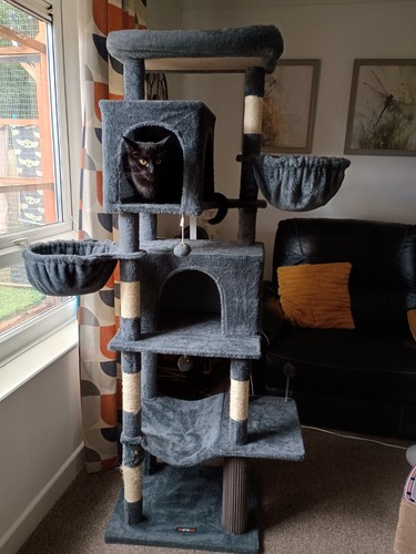 Cat tower with scratch - with, posts